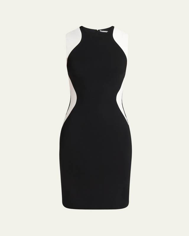 Miracle Colorblock Mini Dress